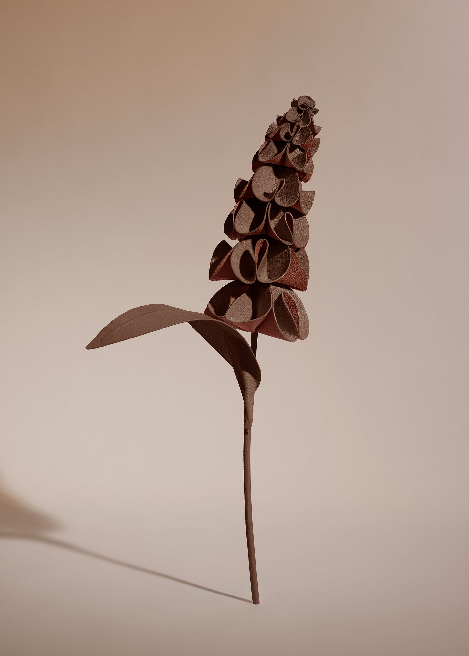 Fleur Orki - Racine