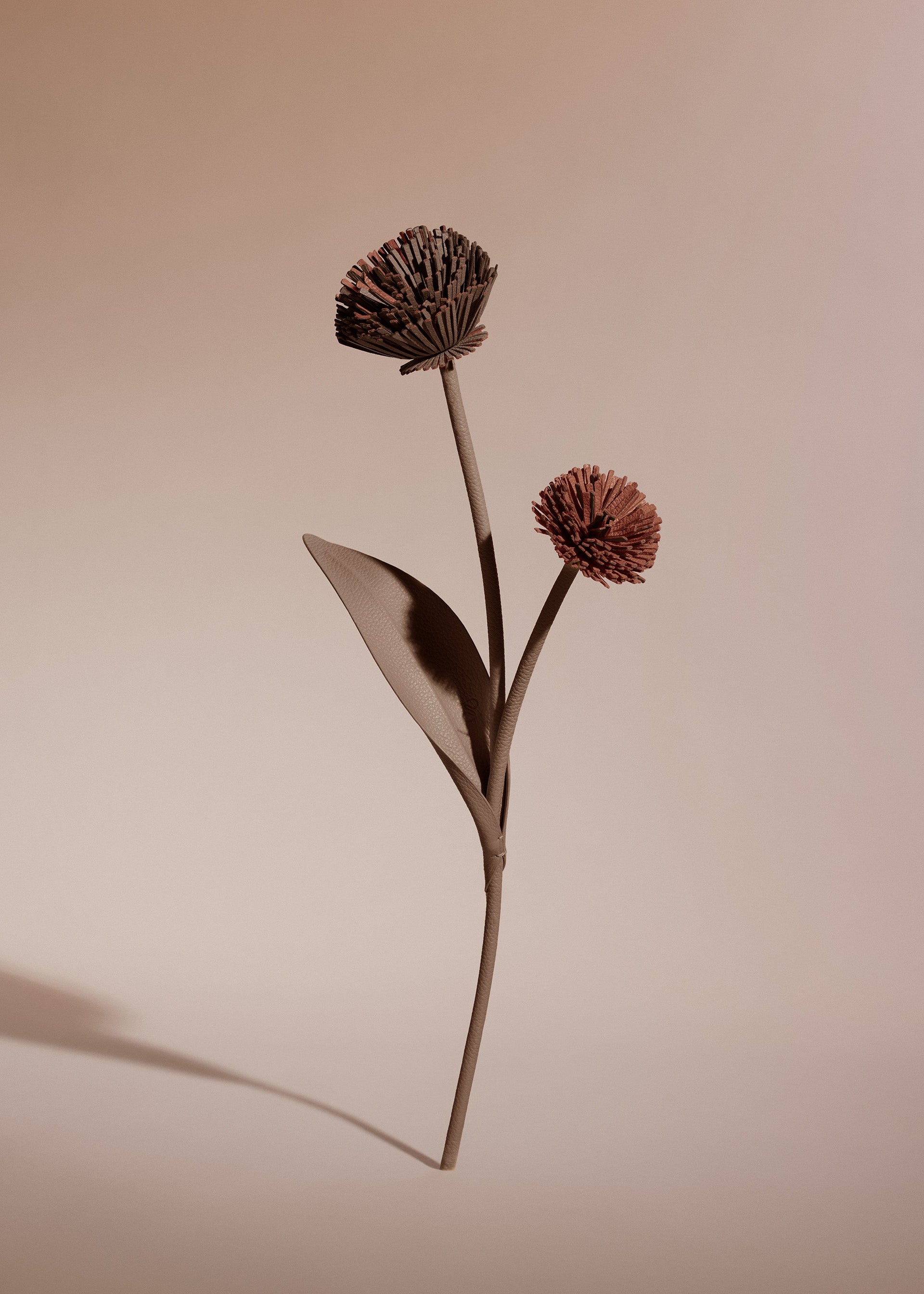 Fleur Tul - Racine