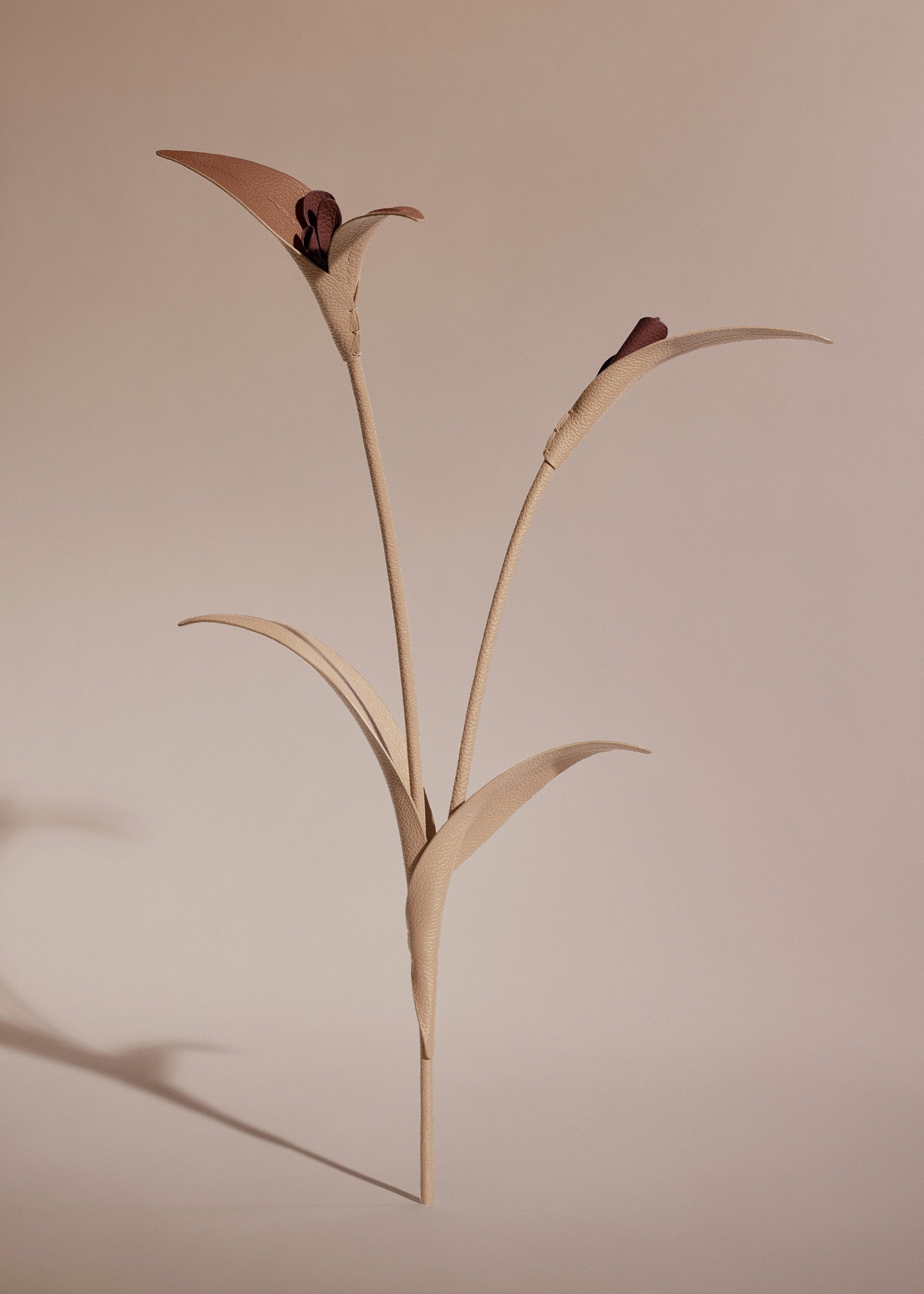 Fleur Touka - Trio Beige