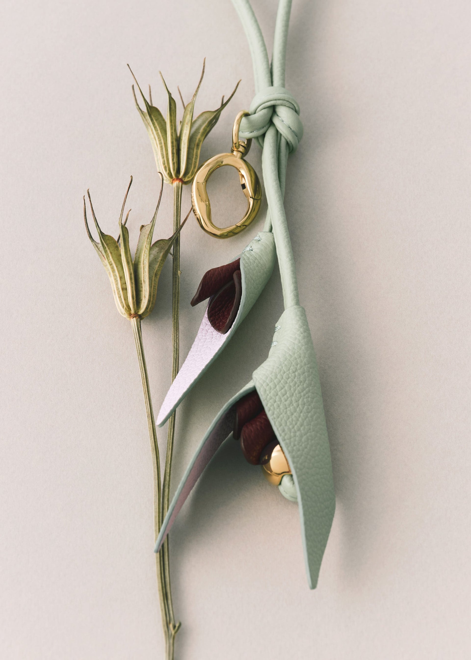 Charm Touka - Trio Cerise Noire