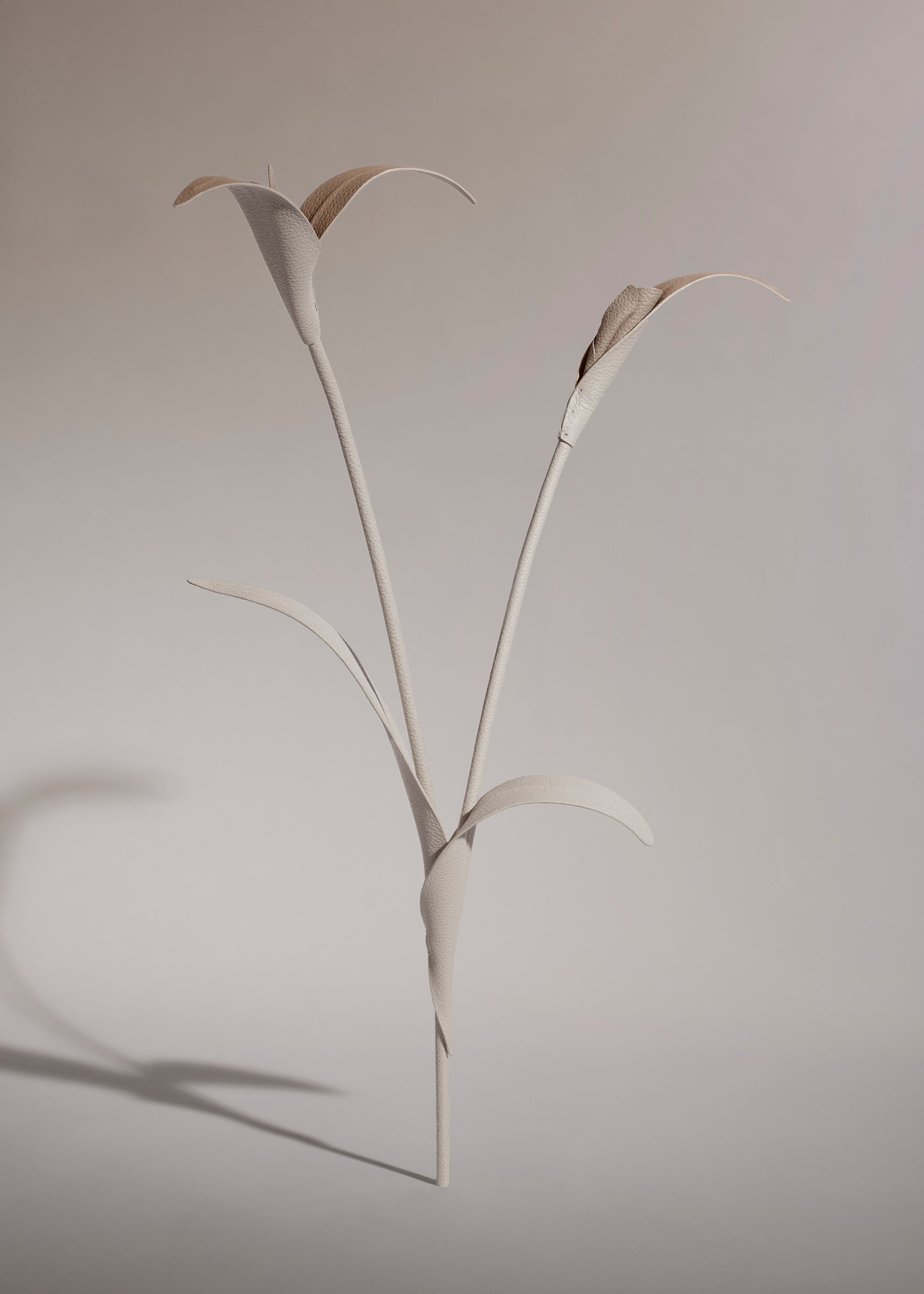 Touka Flower - Chalk