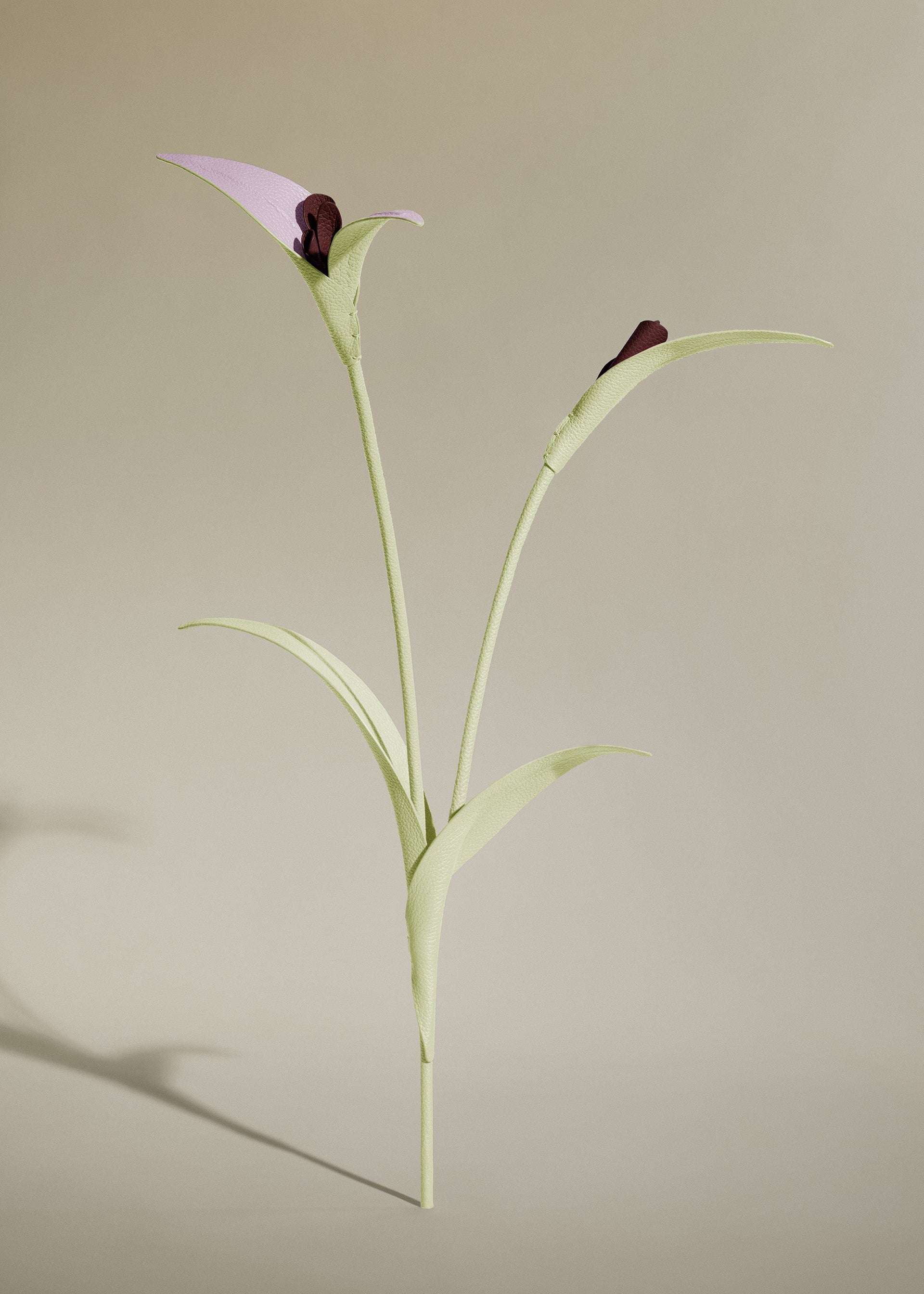 Fleur Touka - Aloe