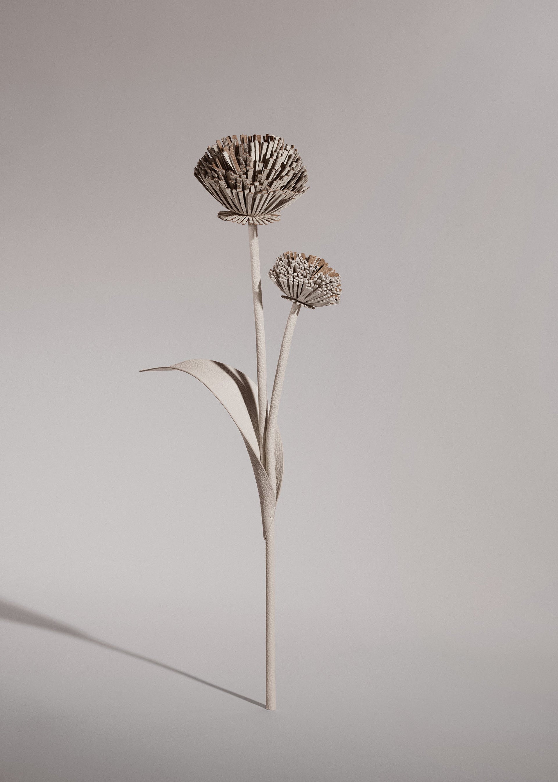 Fleur Tul - Duo Craie