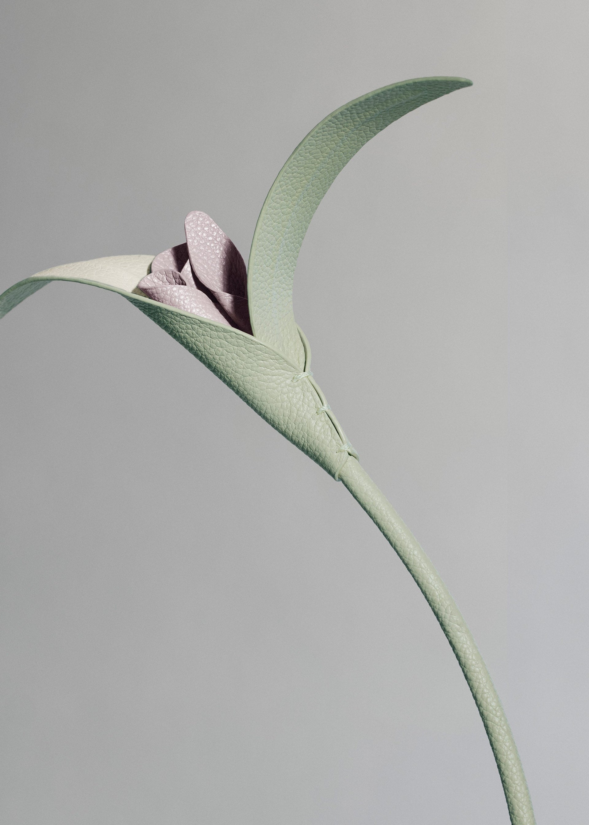 Fleur Touka - Amande Fraîche