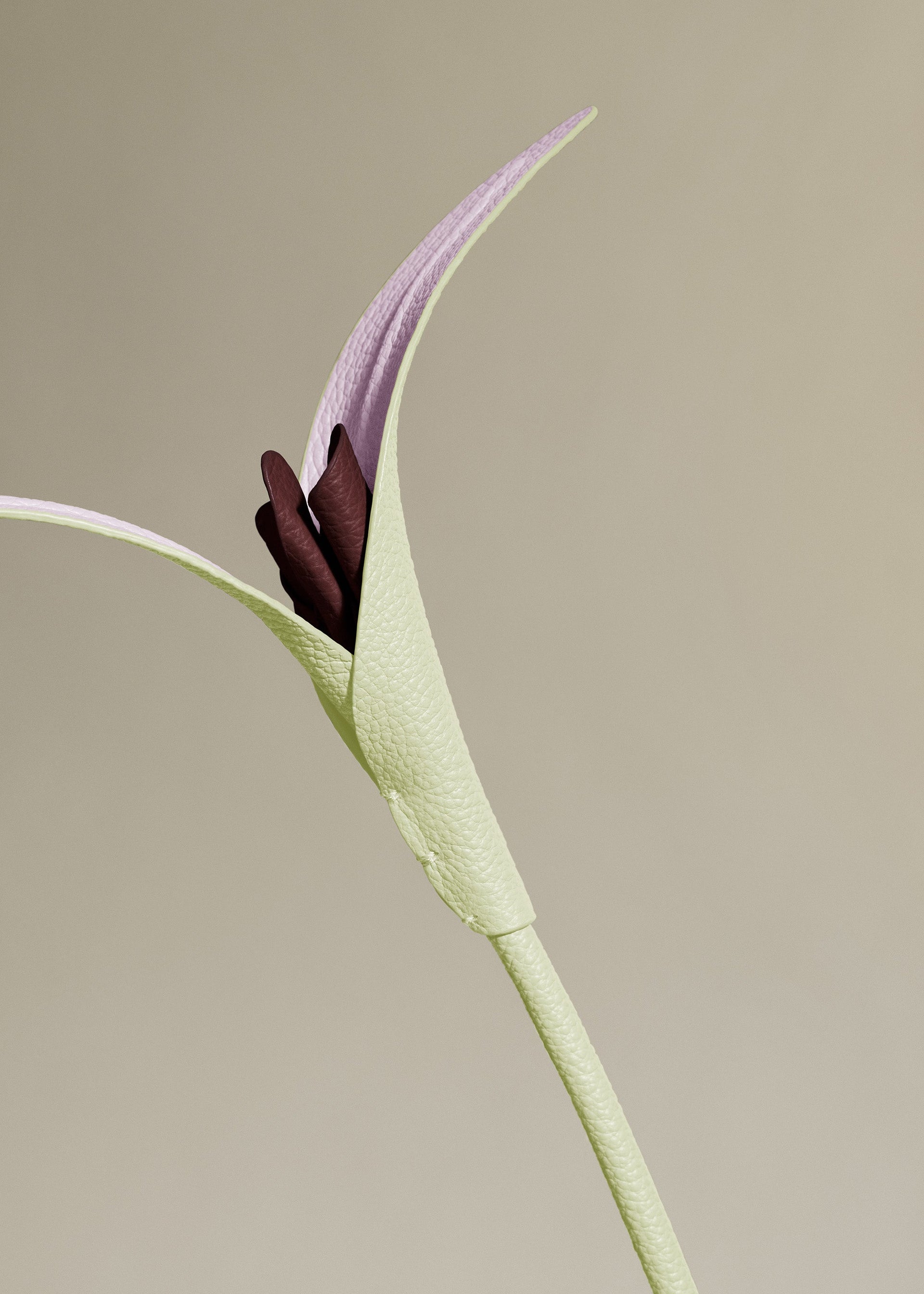 Fleur Touka - Aloe