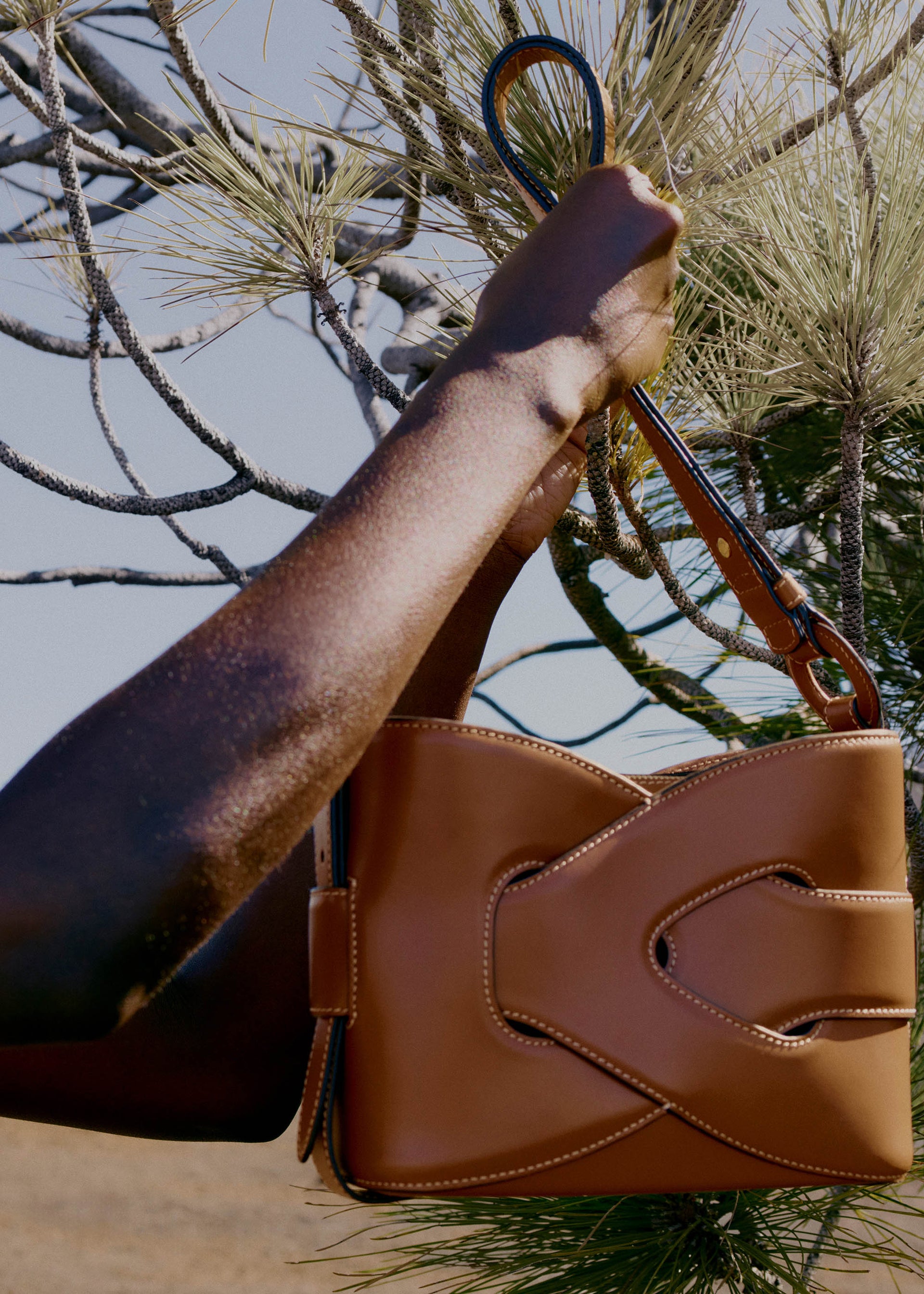 Nodde - Cognac Lisse