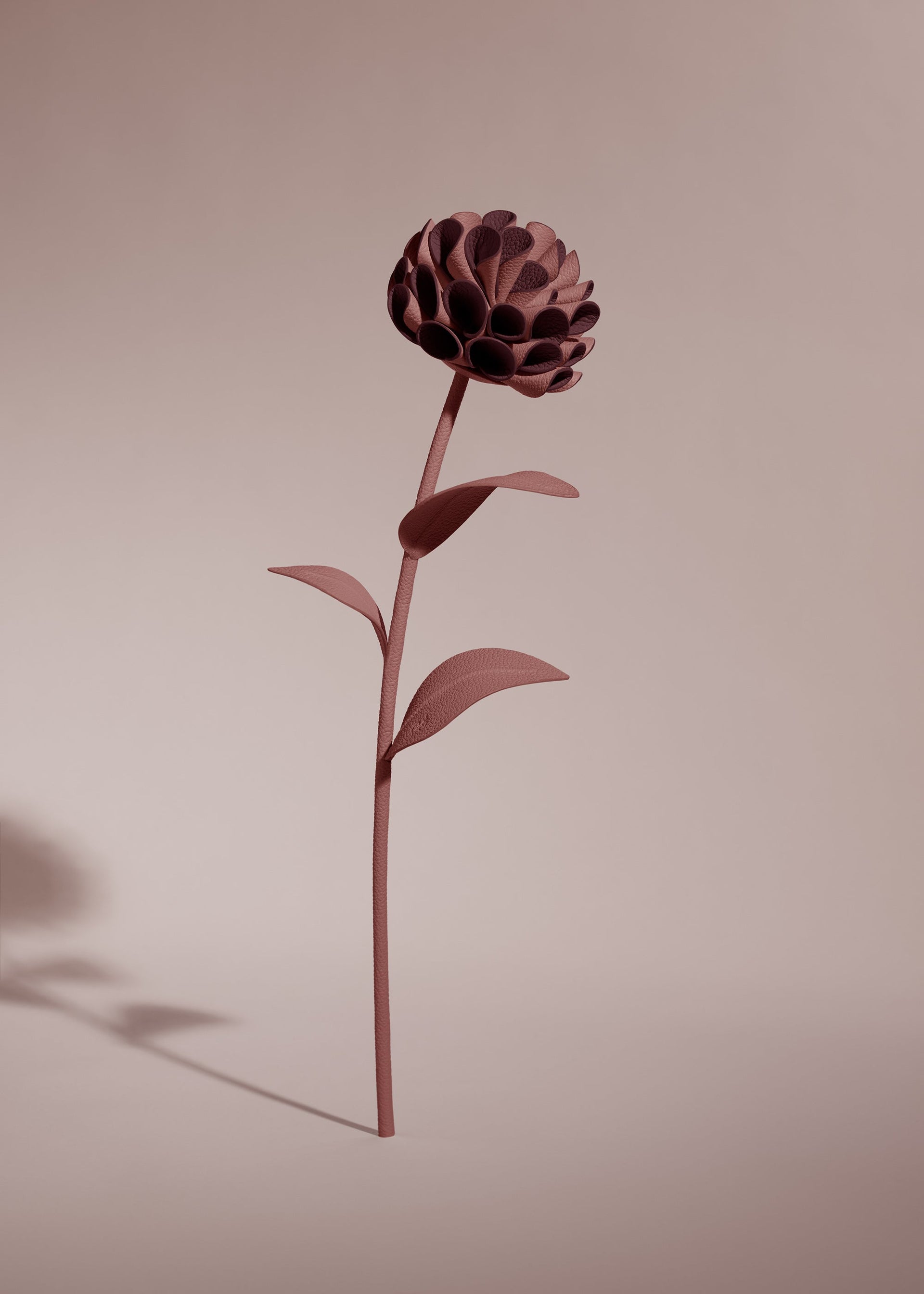 Fleur Dalium - Lilas