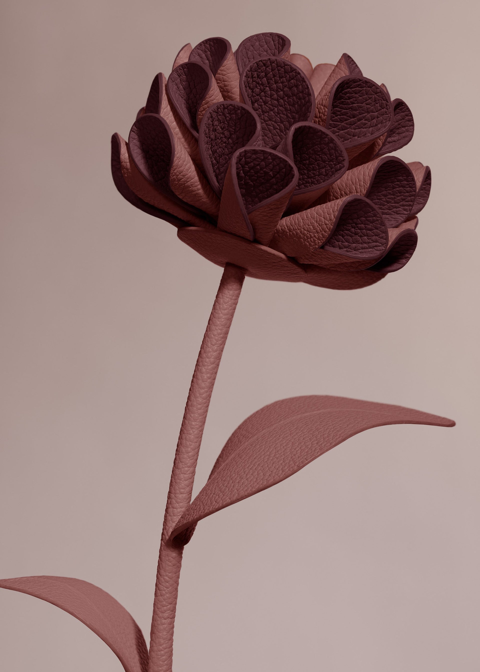 Fleur Dalium - Lilas