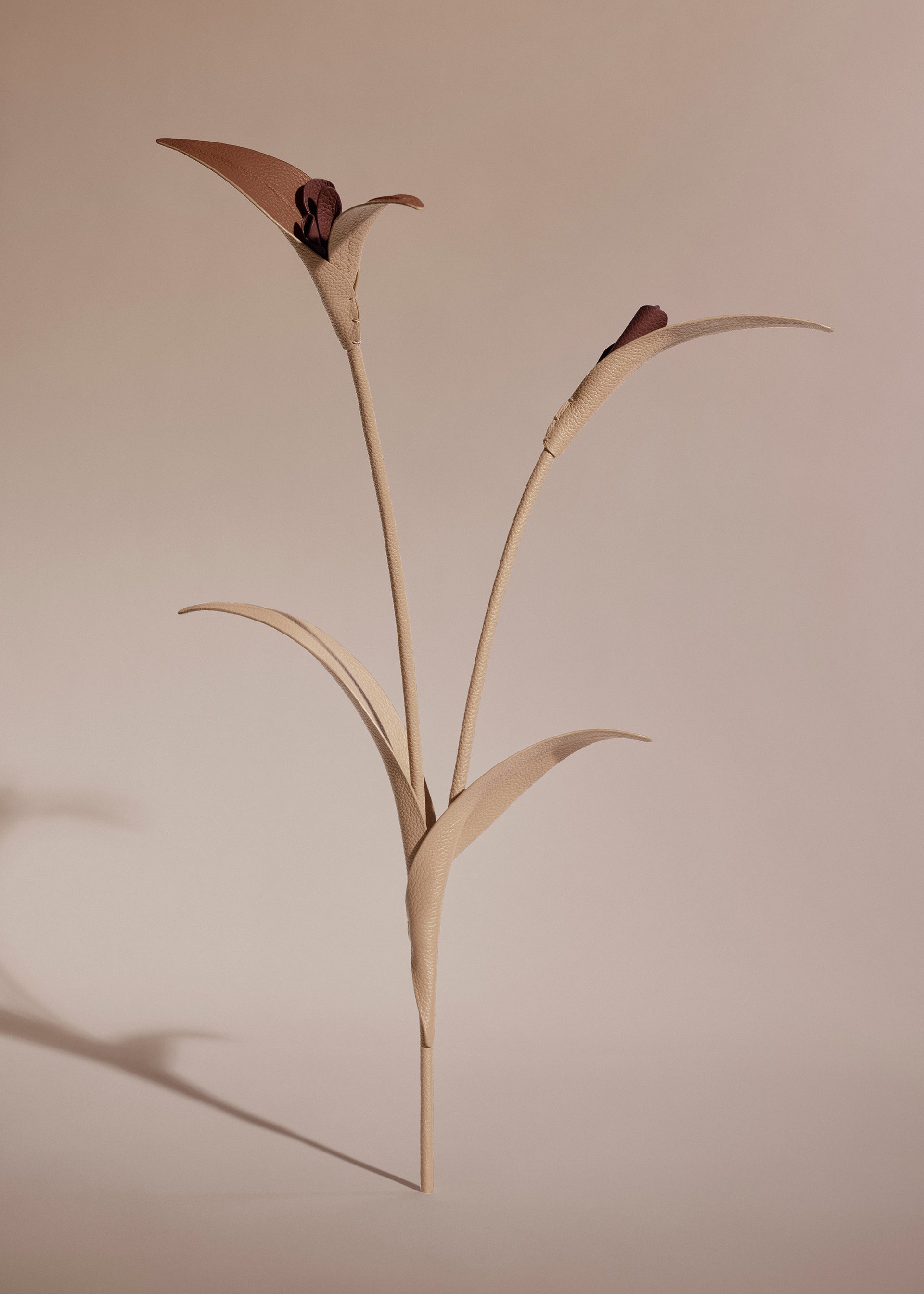 Touka Flower - Beige