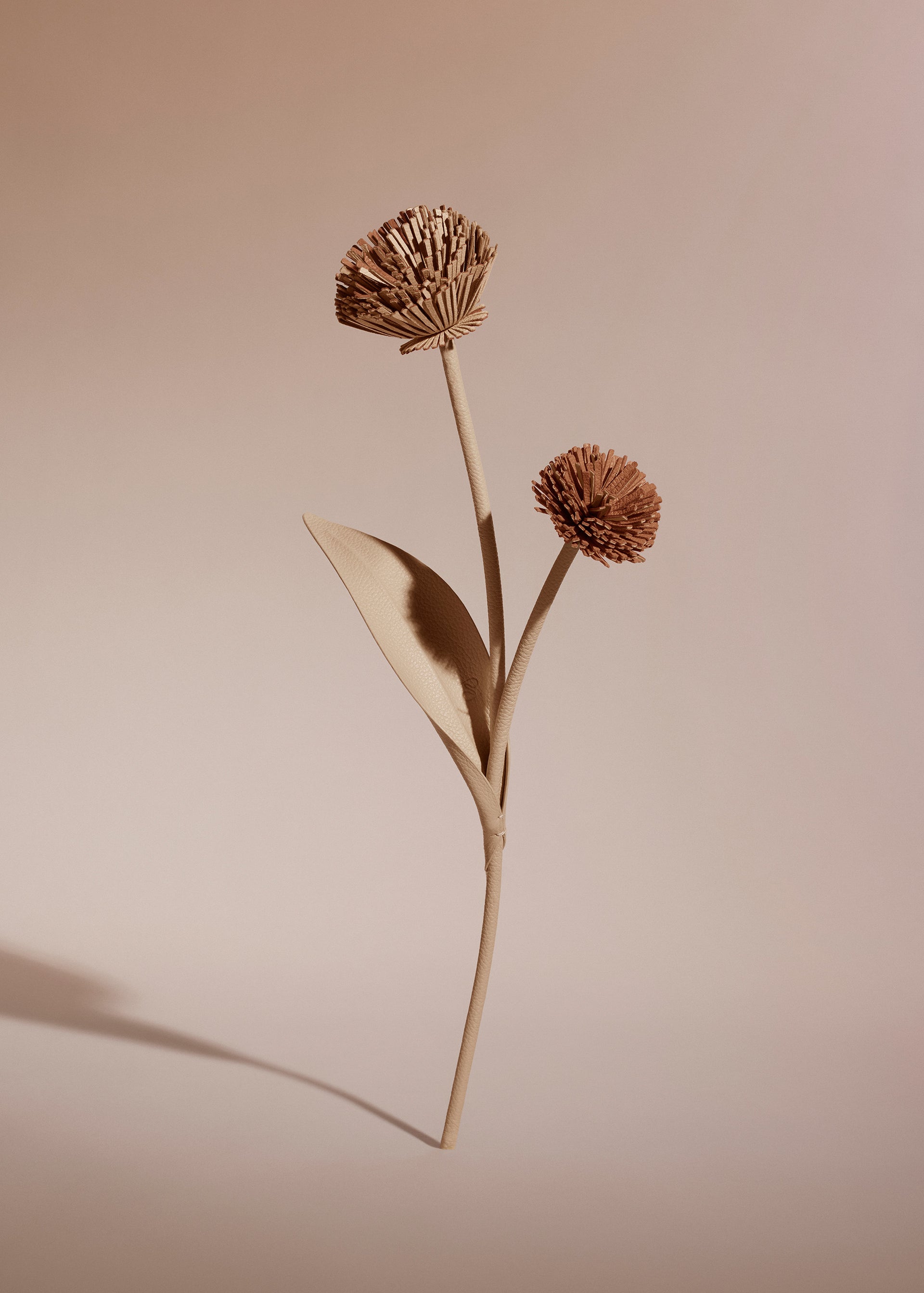 Fleur Tul - Duo Beige