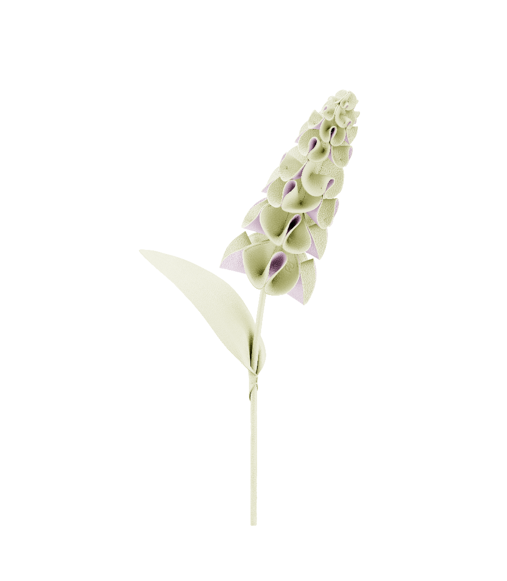 FleurOrki - Aloe