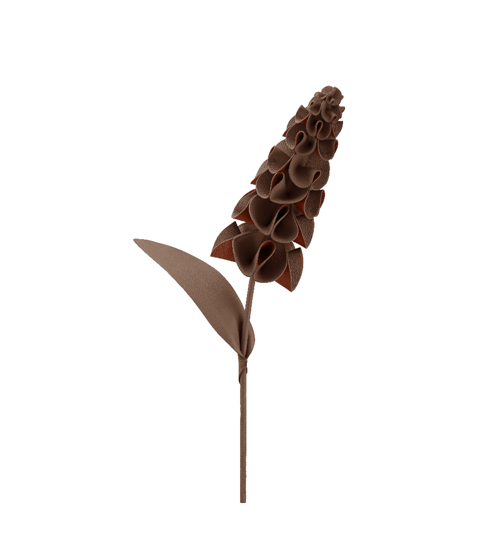 Fleur Orki - Racine